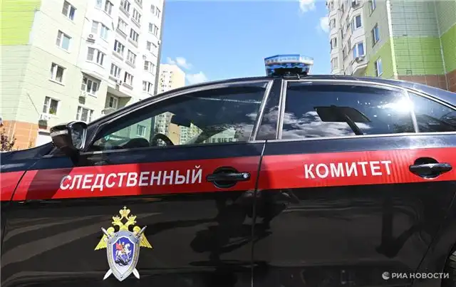 После происшествия в Перми, где на ребенка рухнуло дерево, Следственный комитет начал расследование