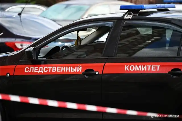 Жительницу Омской области подозревают в зверском убийстве 65?летней пе...