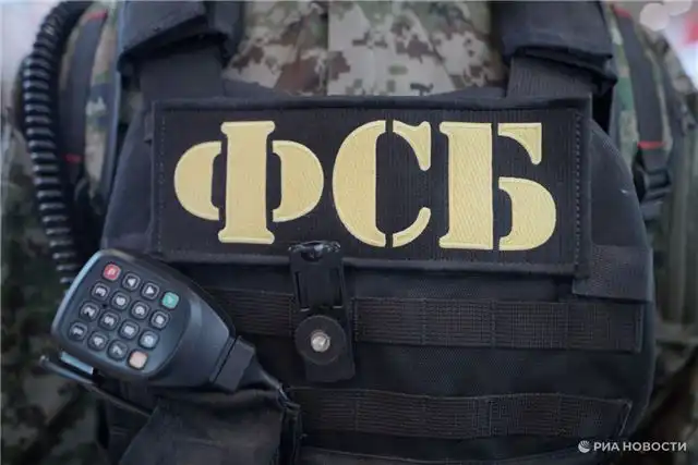 Контрабандные дроны тайно доставляли в Амурскую и Челябинскую области вместе с бытовой техникой