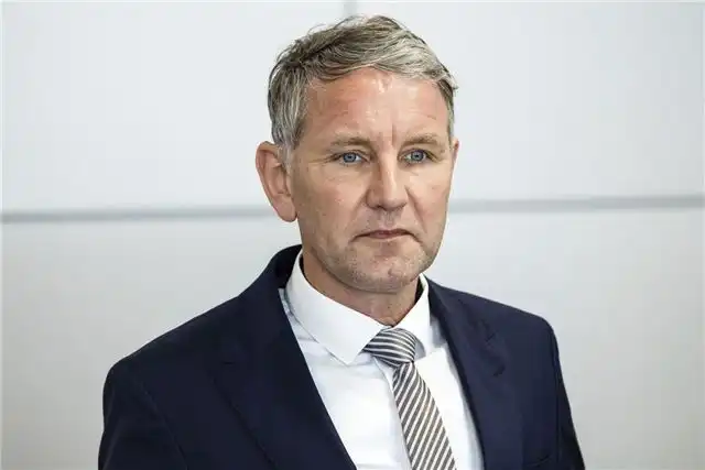 Bild — лидера «АдГ» Хёке снова уличили в использовании нацистско...